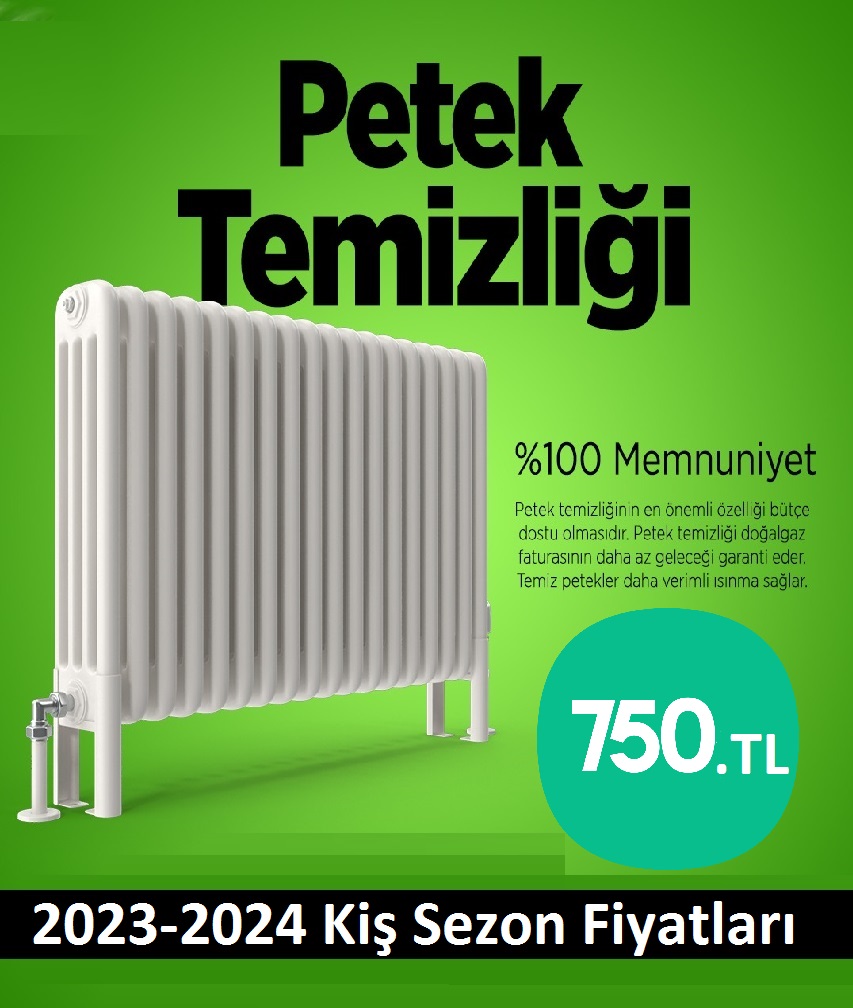 Ümraniye Petek temizleme